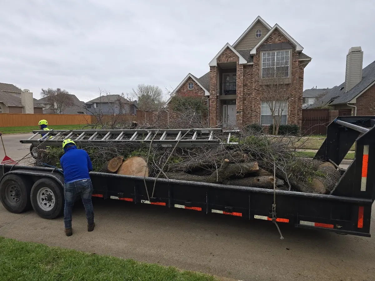 Expert Tree Fertilization with proper safety equipment in Brimfield